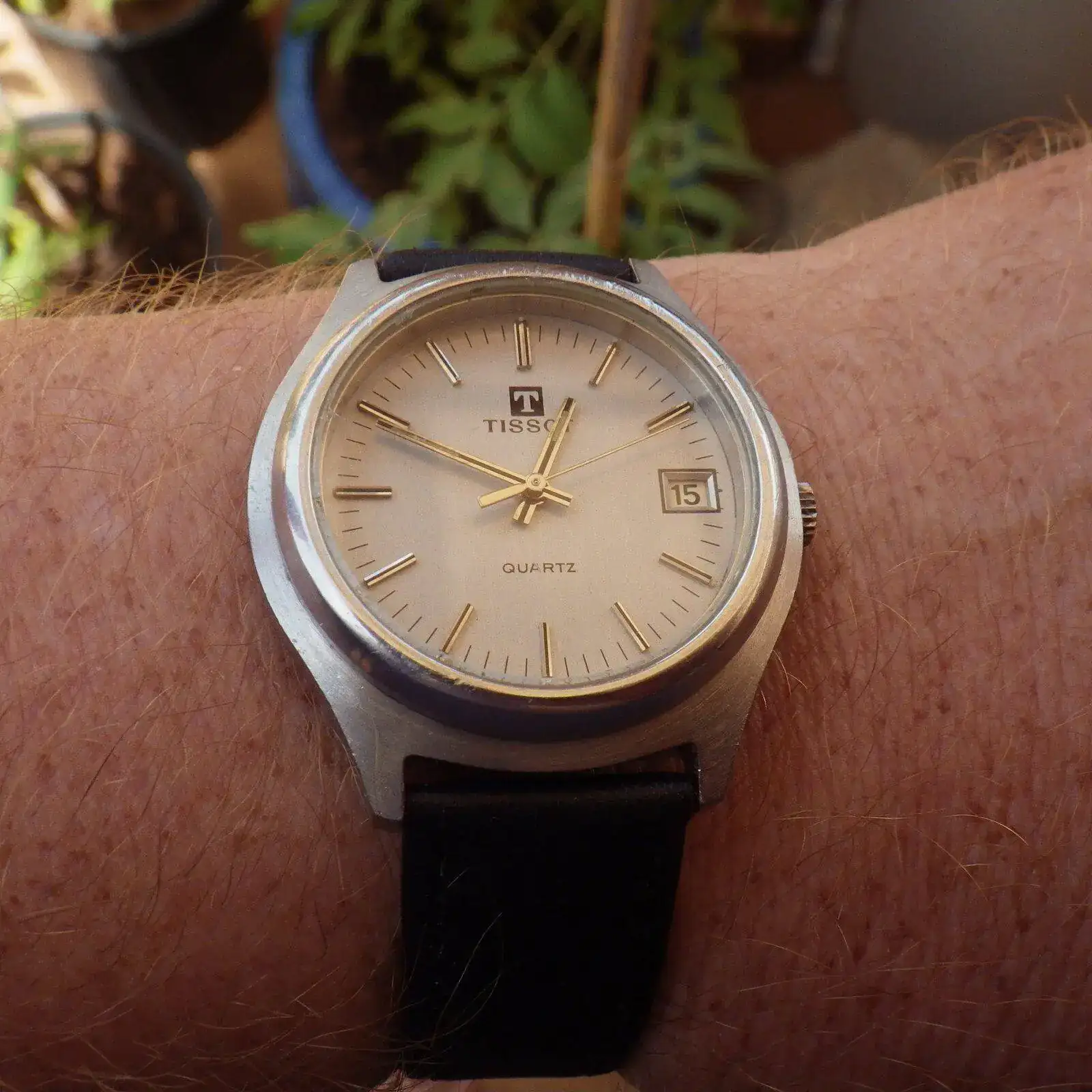 IMGP6038.webp