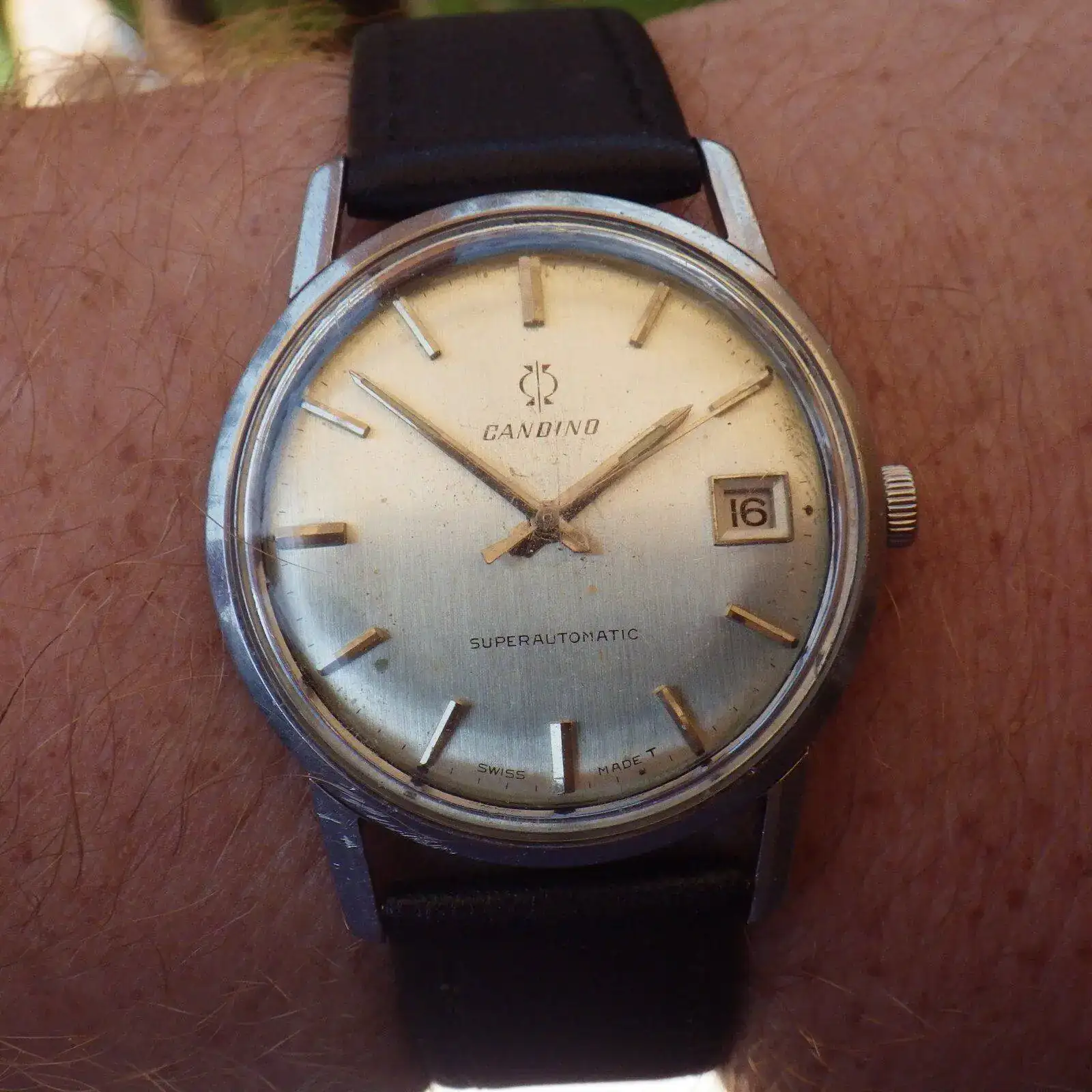 IMGP6055.webp