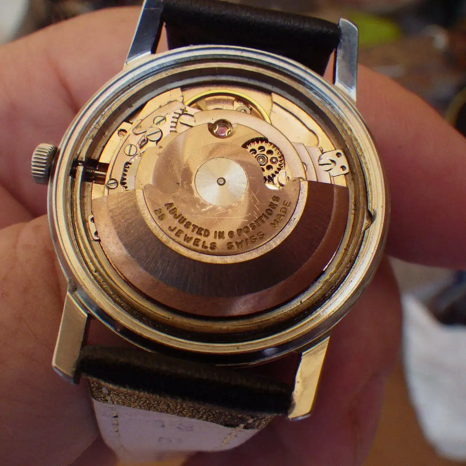 IMGP6059.webp