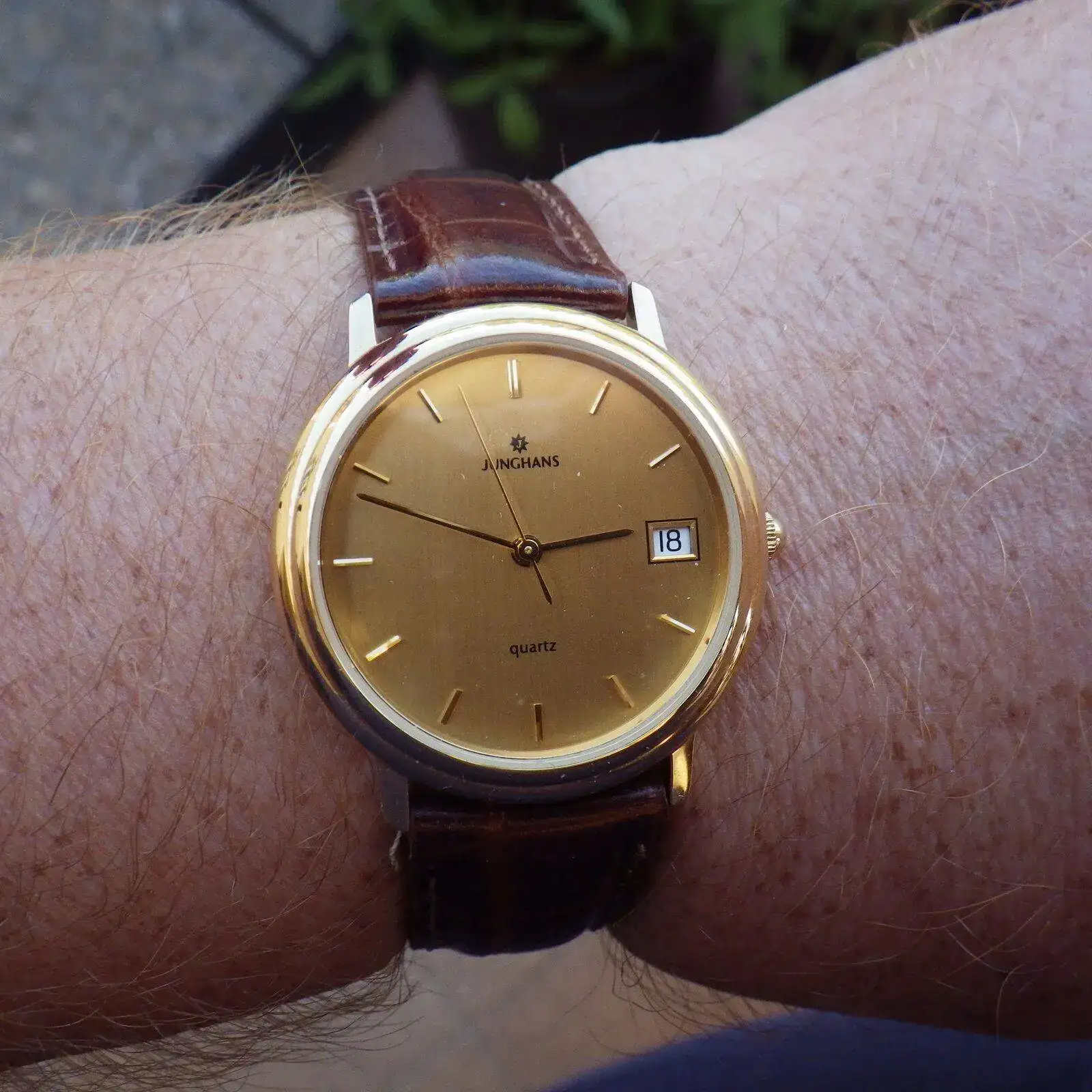 IMGP6097.webp