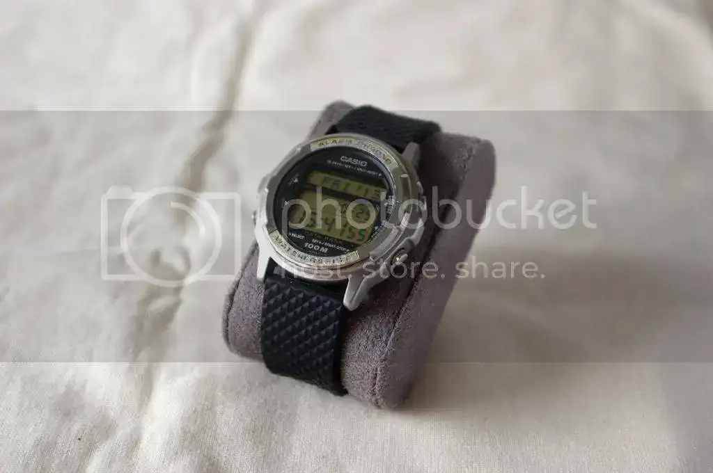 IMGP6108_zps049ae8f6.webp