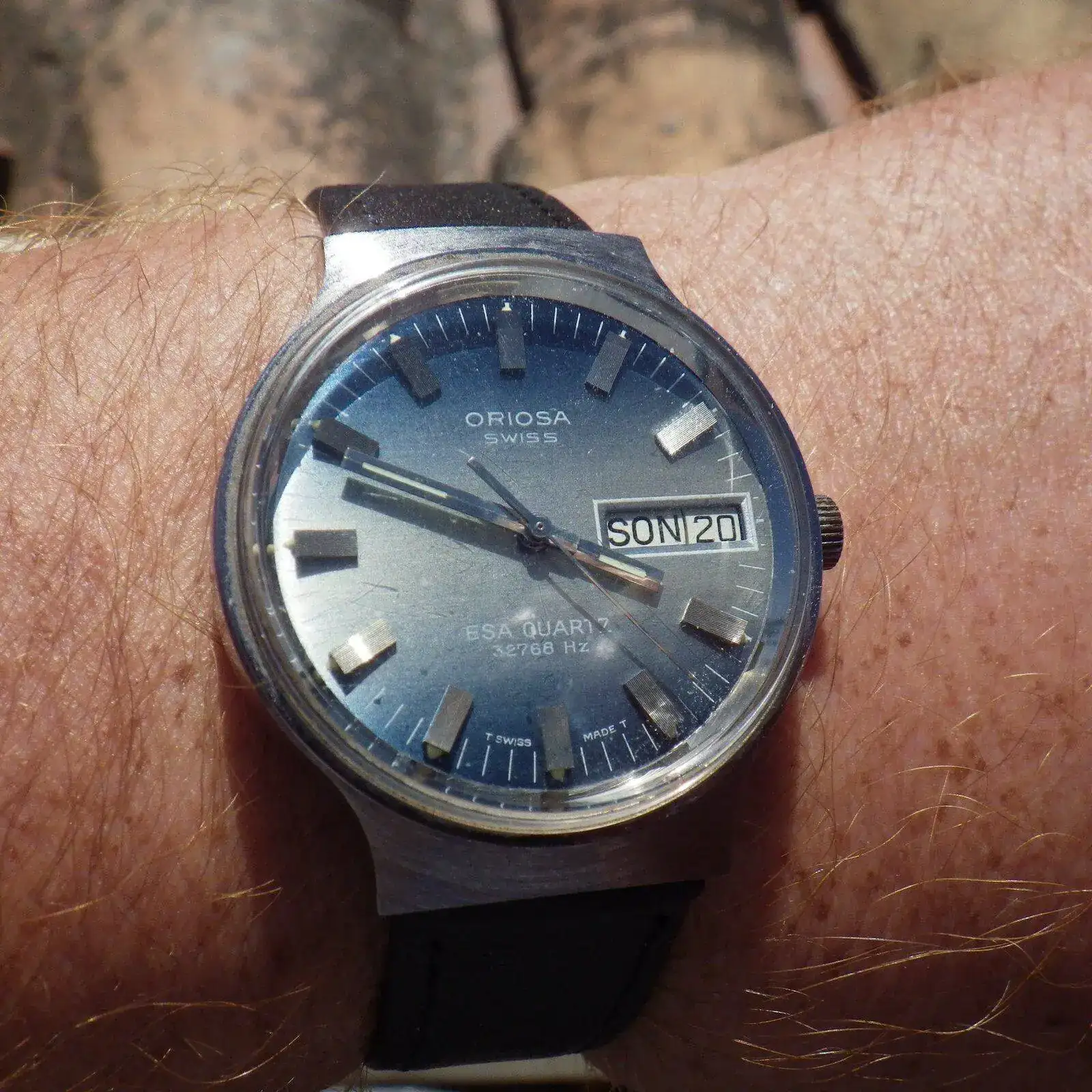 IMGP6124.webp