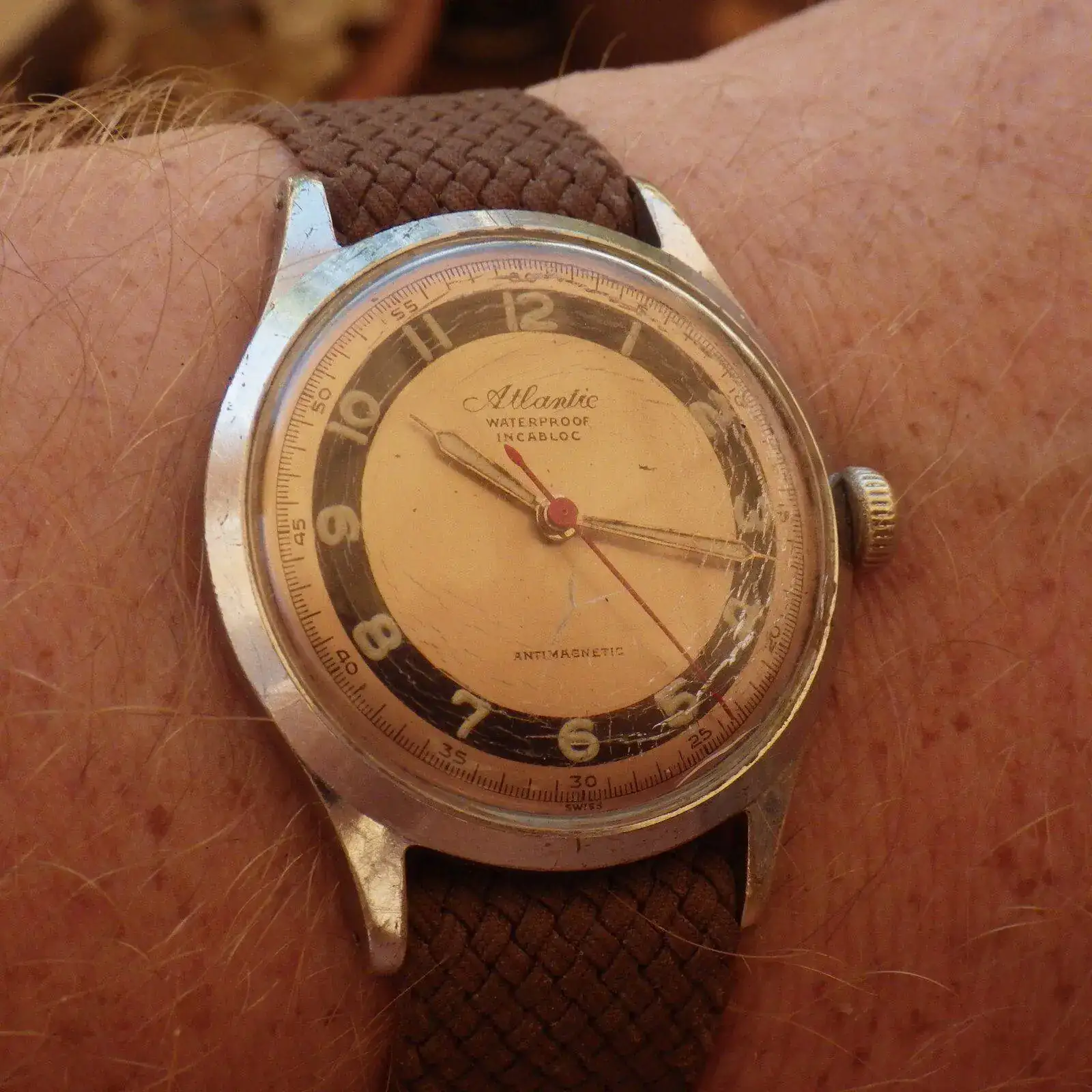 IMGP6148.webp