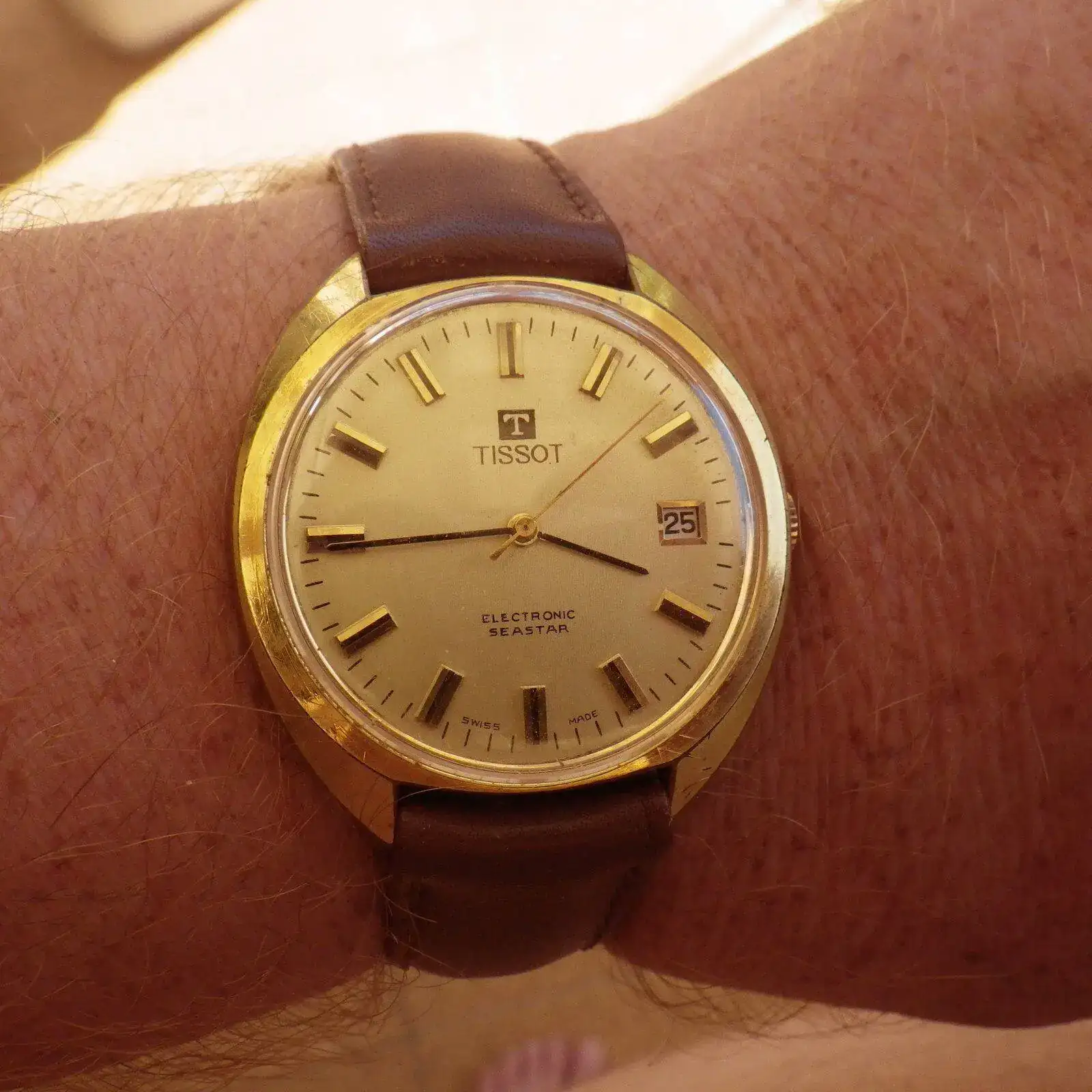 IMGP6150.webp