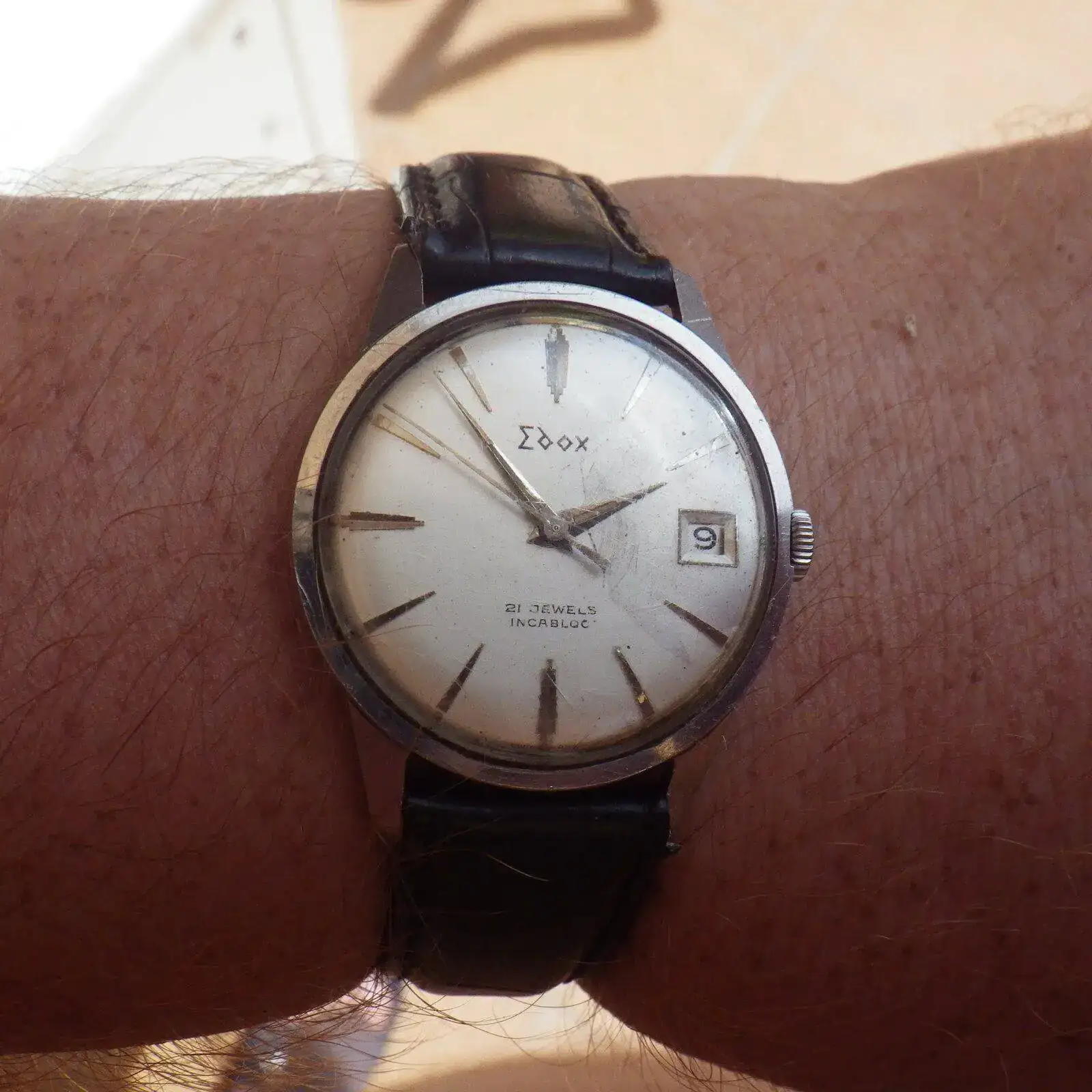 IMGP6232.webp