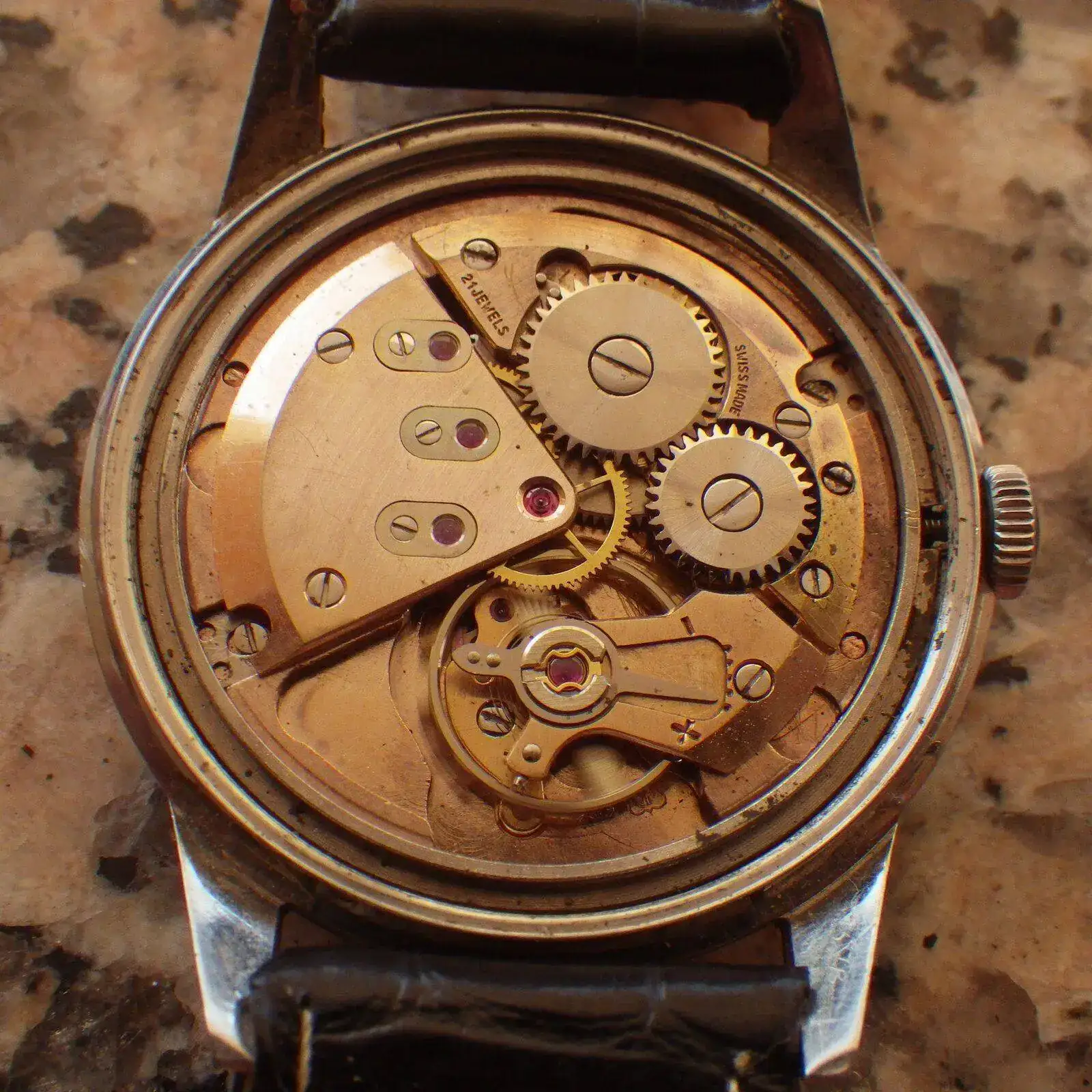 IMGP6236.webp