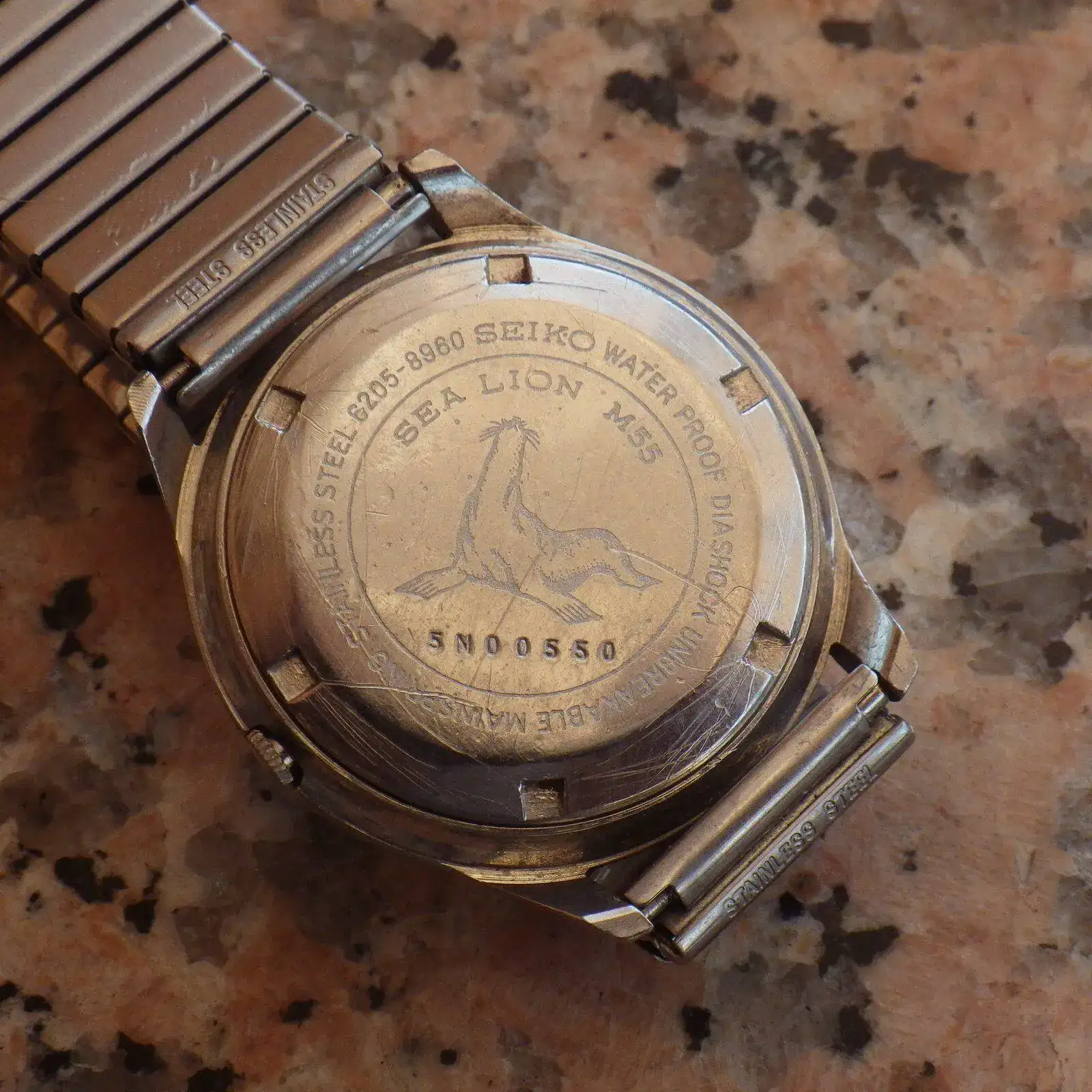 IMGP6291.webp