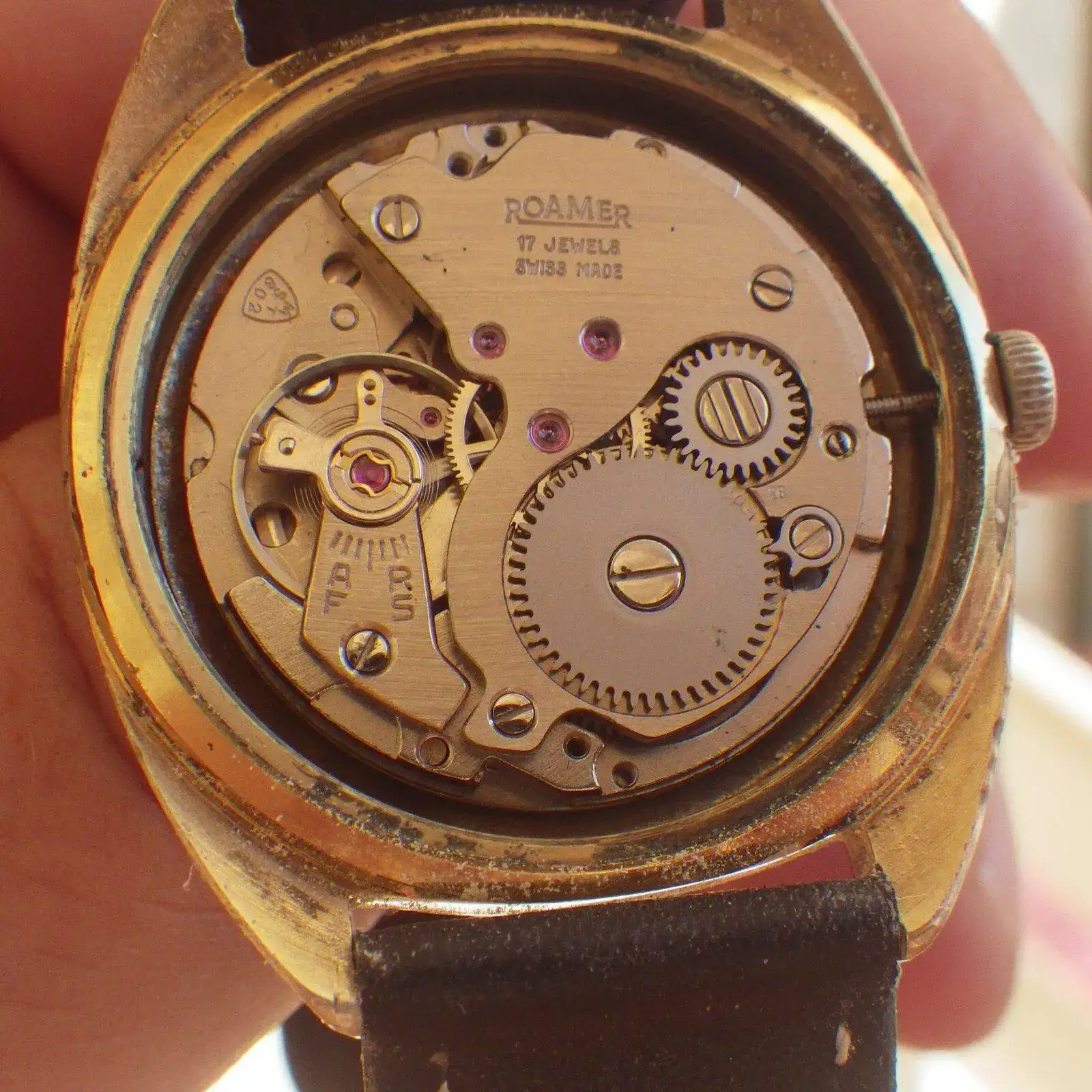 IMGP6326.webp