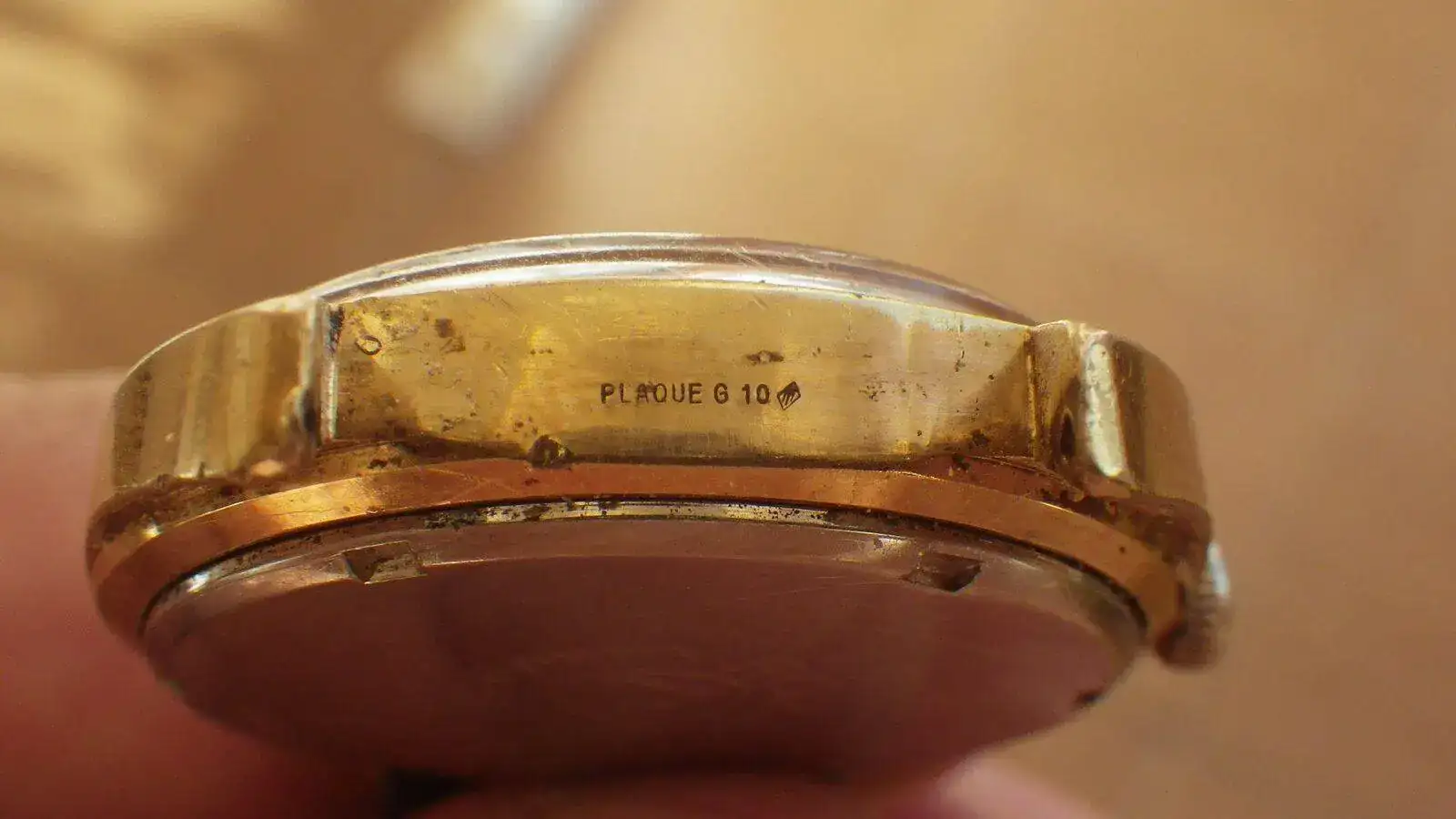 IMGP6328.webp