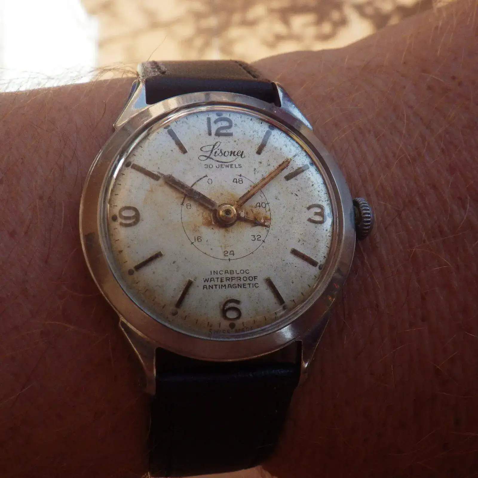 IMGP6338.webp