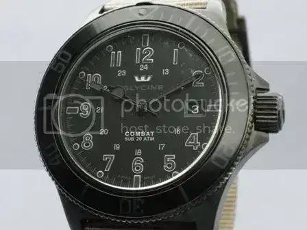 IMGP7103.webp