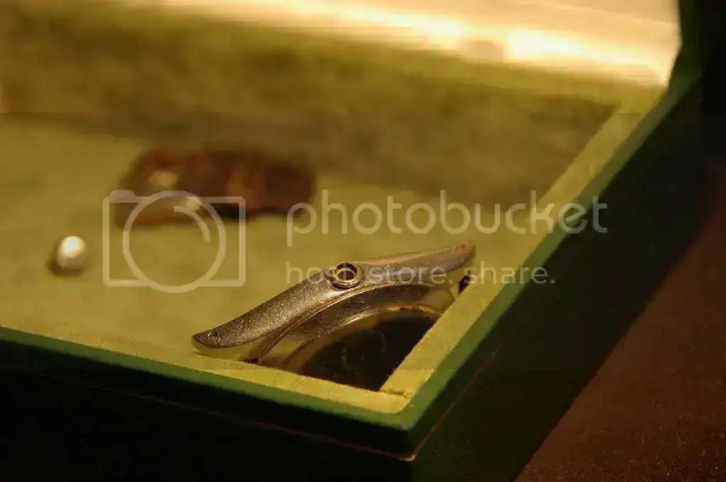 IMGP8826.webp