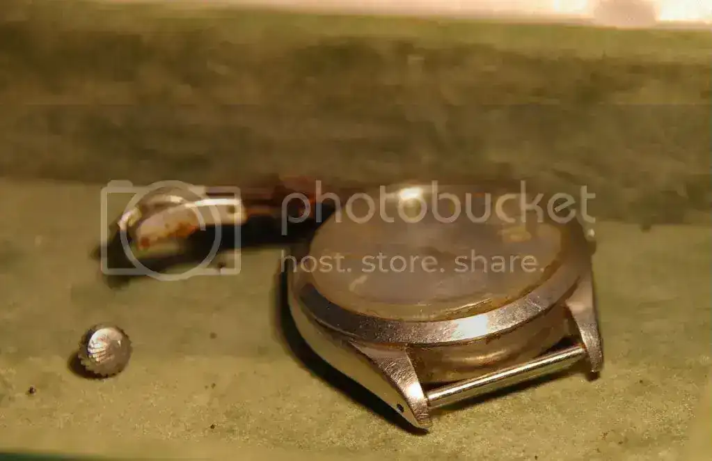 IMGP8830.webp