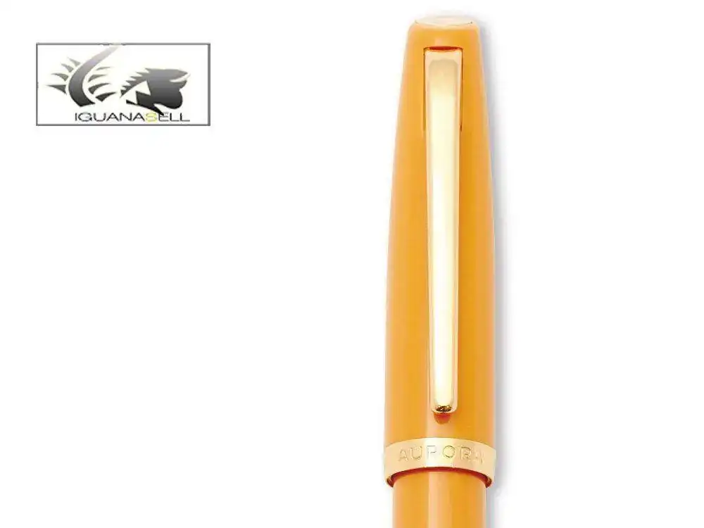 in-Pen-Aurora-Style-Fountain-Pen-Gold-trim-E12S--1.webp