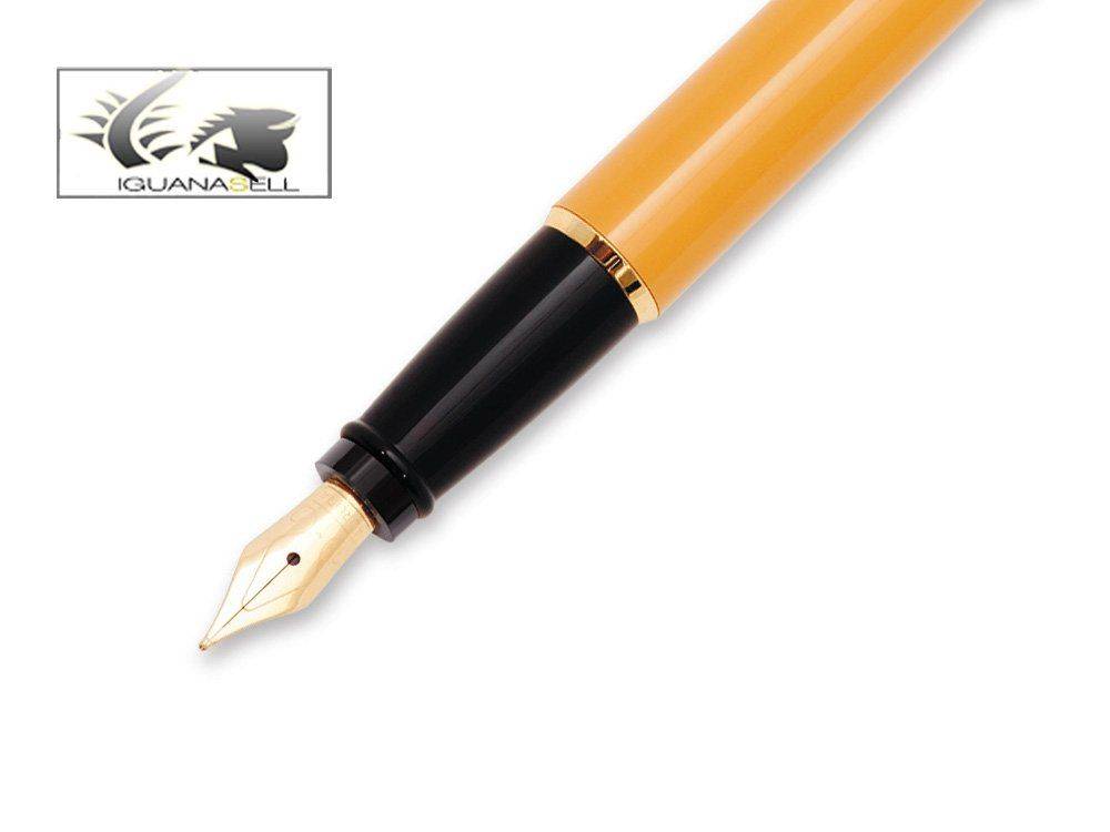 in-Pen-Aurora-Style-Fountain-Pen-Gold-trim-E12S--2.jpg