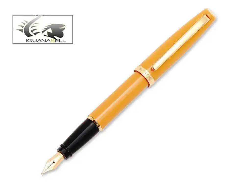 in-Pen-Aurora-Style-Fountain-Pen-Gold-trim-E12S--3.webp