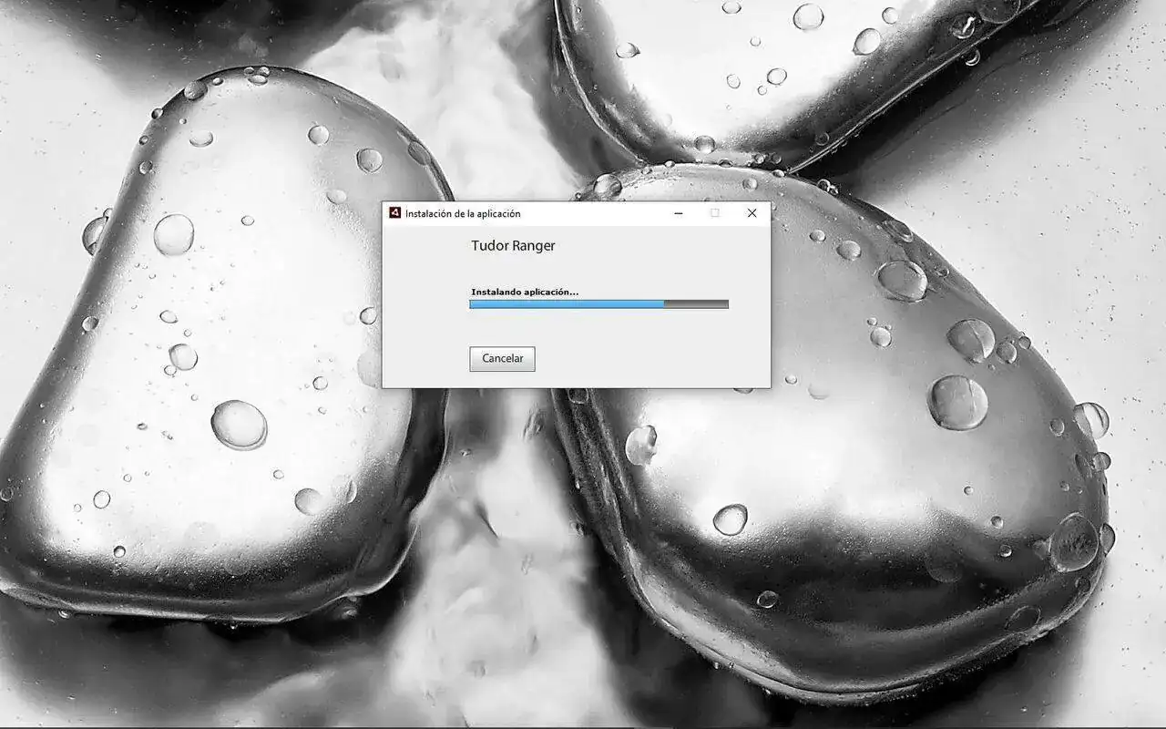Instalación 3.webp