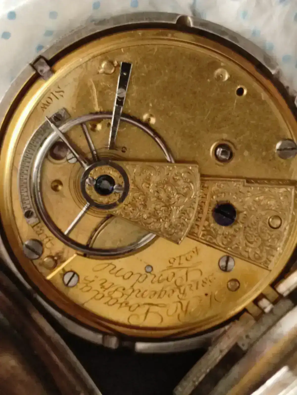 interior Losada .webp