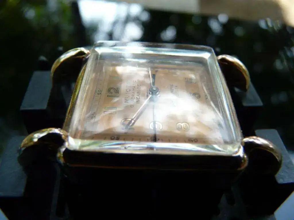 invicta m jpg.webp