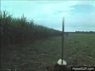 Inx97m.gif