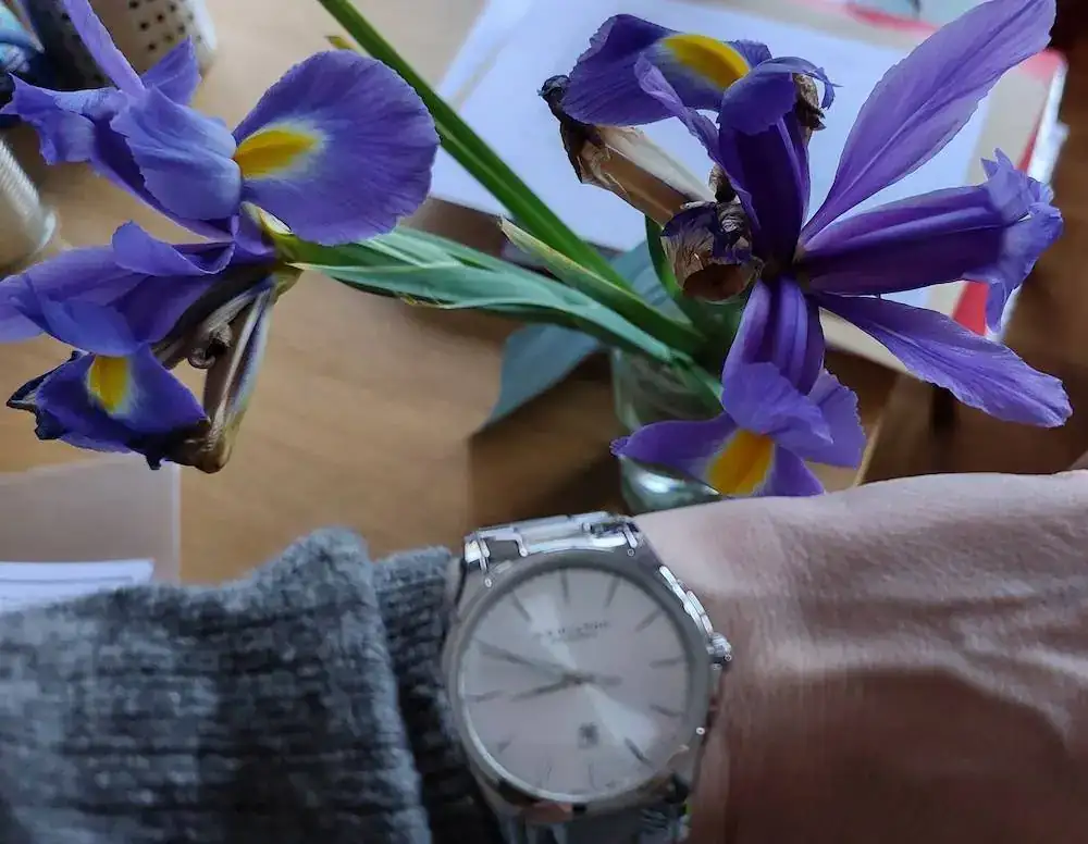 Iris.webp