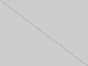 item.webp