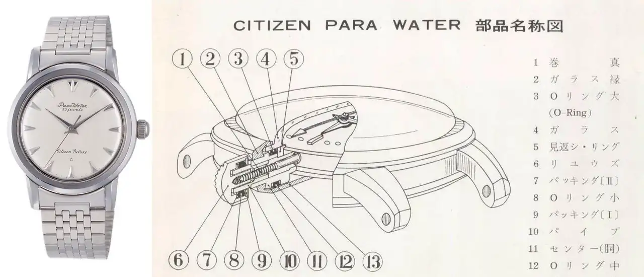 itizen-Parawater-de-1959-dibujo-sistema-hermetismo.webp