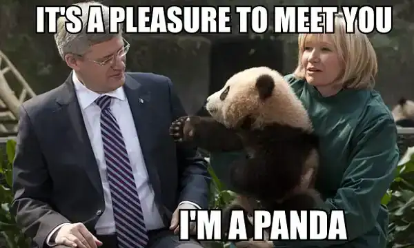 Its-a-pleasure-to-meet-you.-Im-a-Panda..webp