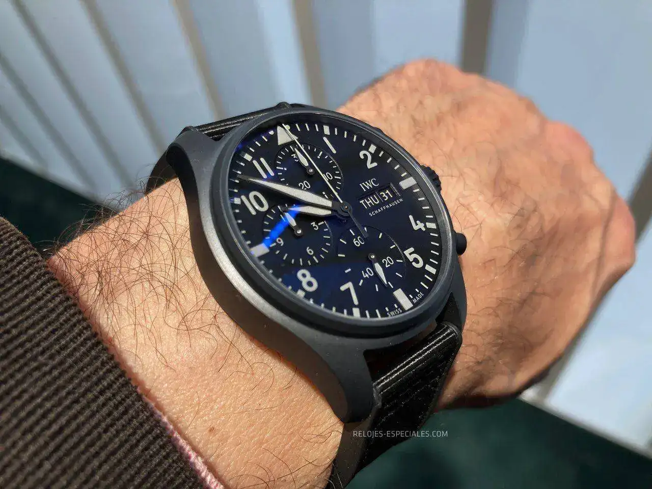 IWC-12.JPG