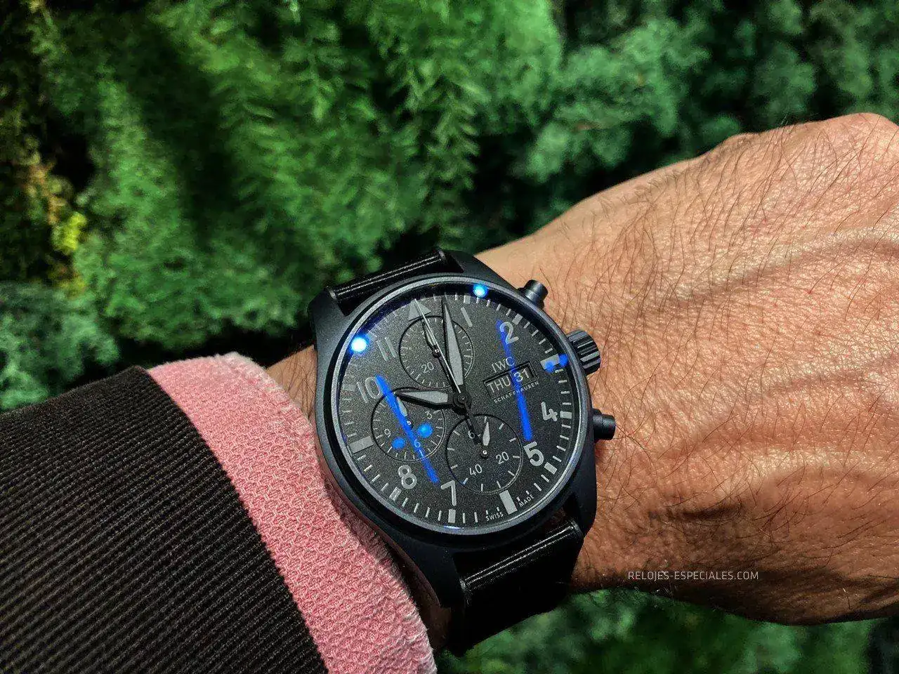 IWC-15.JPG