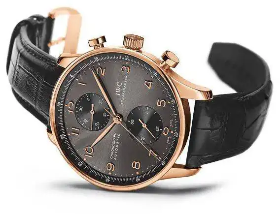iwc-portugues-2010.webp