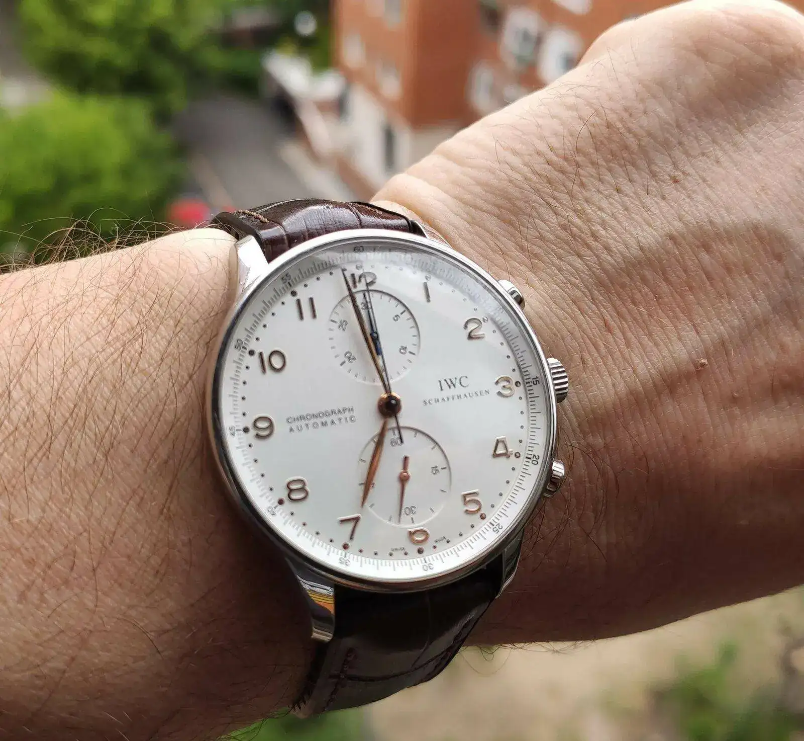 iwc.jpg