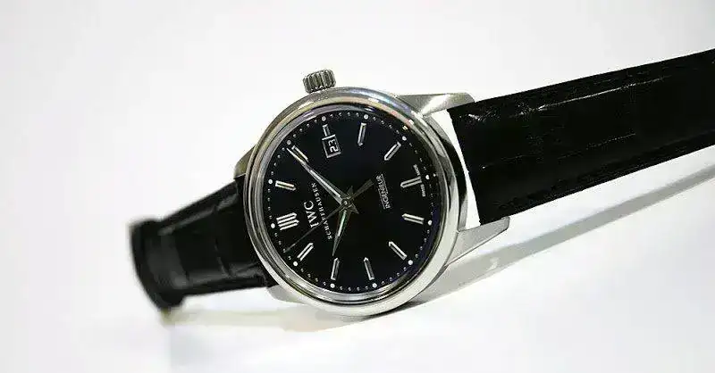 IWC_24Feb2010_014.webp