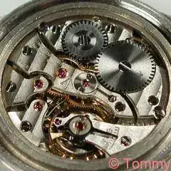 IWC_89-1.webp