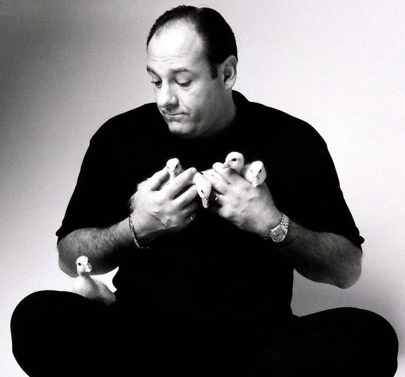 James-Gandolfini-Rolex-Predident-with-Ducks.webp
