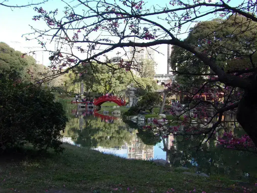japo5.webp