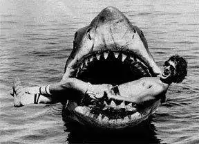 Jaws-spielberg-shark-4.webp