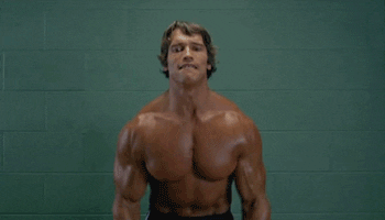 jercicio-arnold-schwrzenegger-www.laguiadelvaron-3.gif