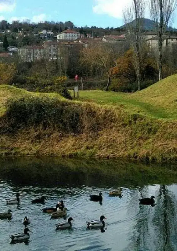 Josune Las CAL 20171228_103426.webp