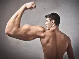jTjHWTL8bom8x736-P4b5mu99ERqbtS7l4oCdI_IAHSOnLjta8.webp