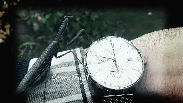 junker5p.webp