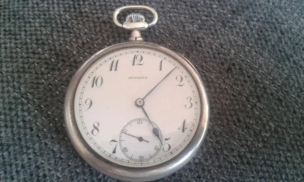 JUVENIA COMPRAT (2).webp