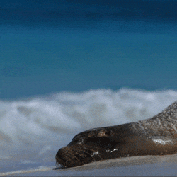 jytts50jyl4e031zfyruqj9ds152agknjm71ha6z&rid=giphy.gif