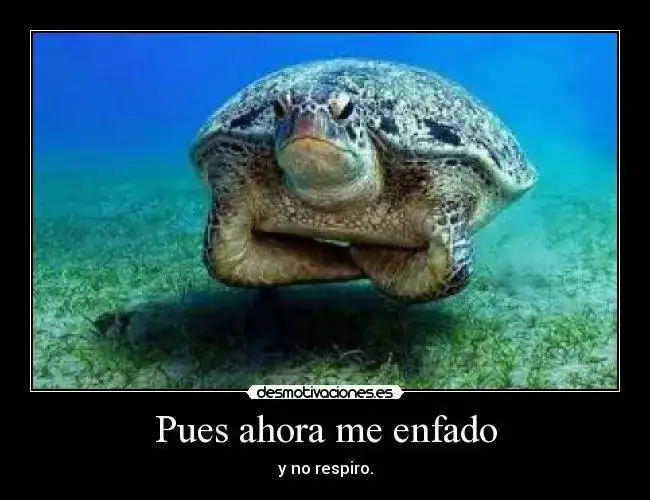 jyytk.webp