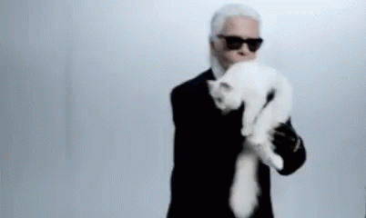 karl-lagerfeld-cat.gif