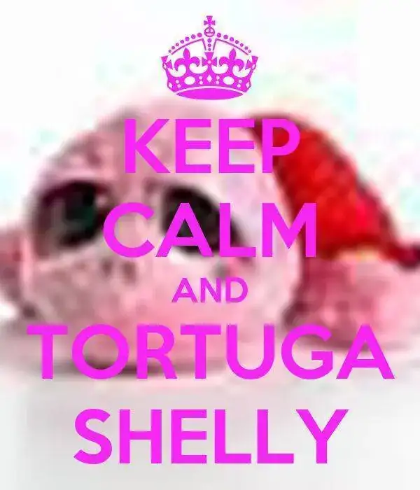 keep-calm-and-tortuga-shelly.webp