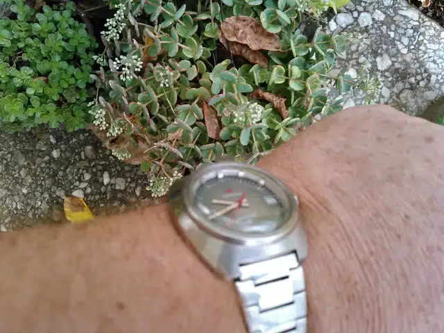 KIMG0008.webp
