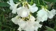 KIMG0010.webp