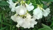 KIMG0011.webp