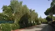 KIMG0017.webp